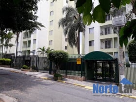 Apartamento com 2 Quartos à Venda, 49 m² em Vila Amélia - São Paulo