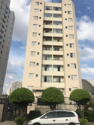 Apartamento com 3 Quartos à Venda, 66 m² em Chácara Santo Antônio - São Paulo
