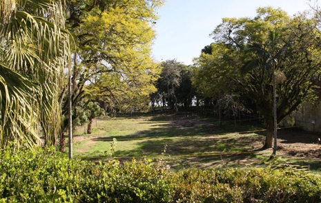 Condomínio Las Rocas Porto Alegre - Pedra Redonda - Porto Alegre - RS