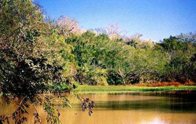 Condomínio Residencial Verdes Campos Porto Alegre - Protásio Alves - Porto Alegre - RS