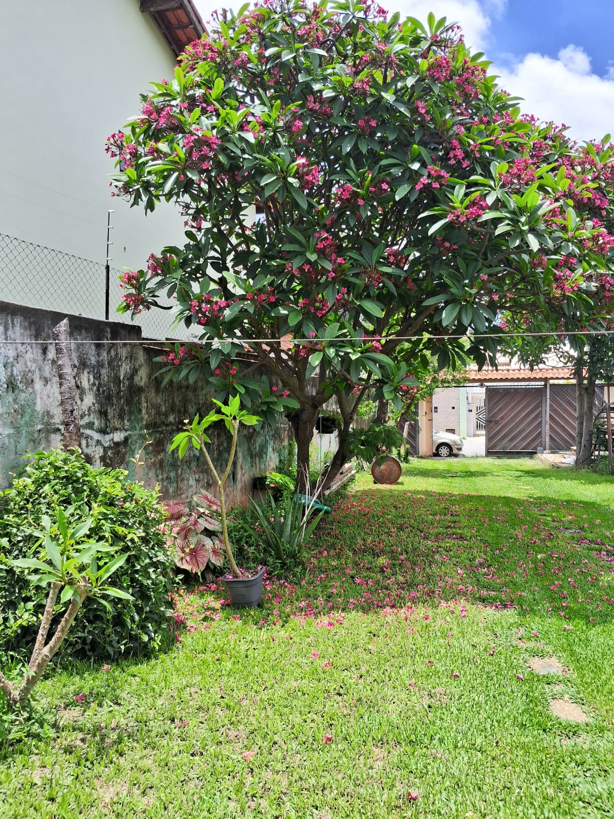 Imagem Sobrado com 3 Quartos à Venda, 90 m²em Jardim Virginia Bianca - São Paulo