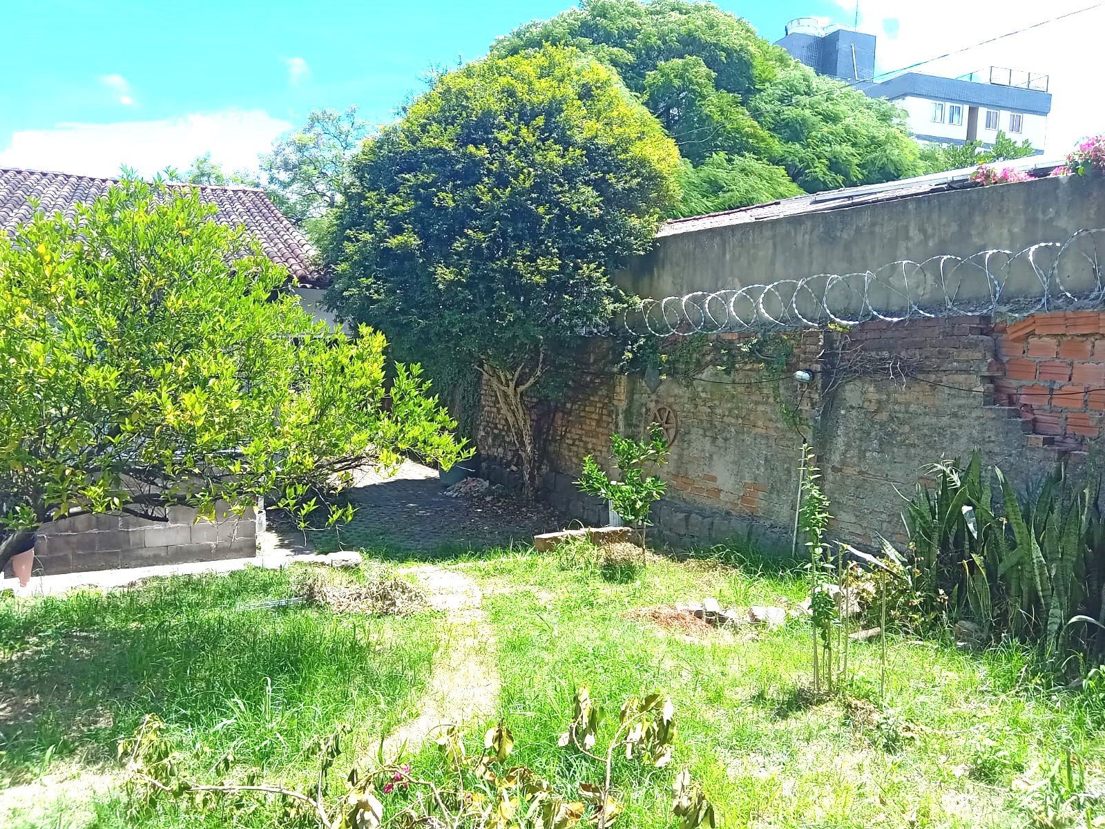 Imagem Sobrado com 3 Quartos à Venda, 100 m²em Jardim Botânico - Porto Alegre