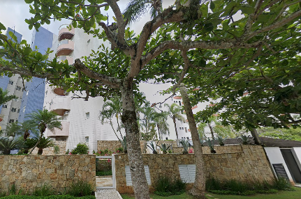 Imagem de fundo do condomínio Condomínio Riviera de São - Lourenço - Bertioga - SP