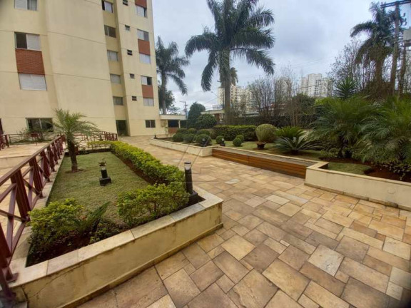 Imagem Apartamento com 3 Quartos à Venda, 70 m² em Jardim Monte Kemel - São Paulo