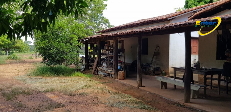 Imagem Fazenda à Venda, 681.000 m² em rural - São João D'Aliança