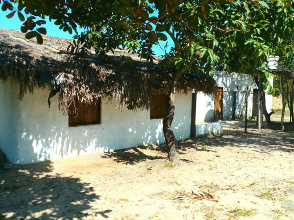 Imagem Chácara à Venda,  em Zona Rural - Mateiros