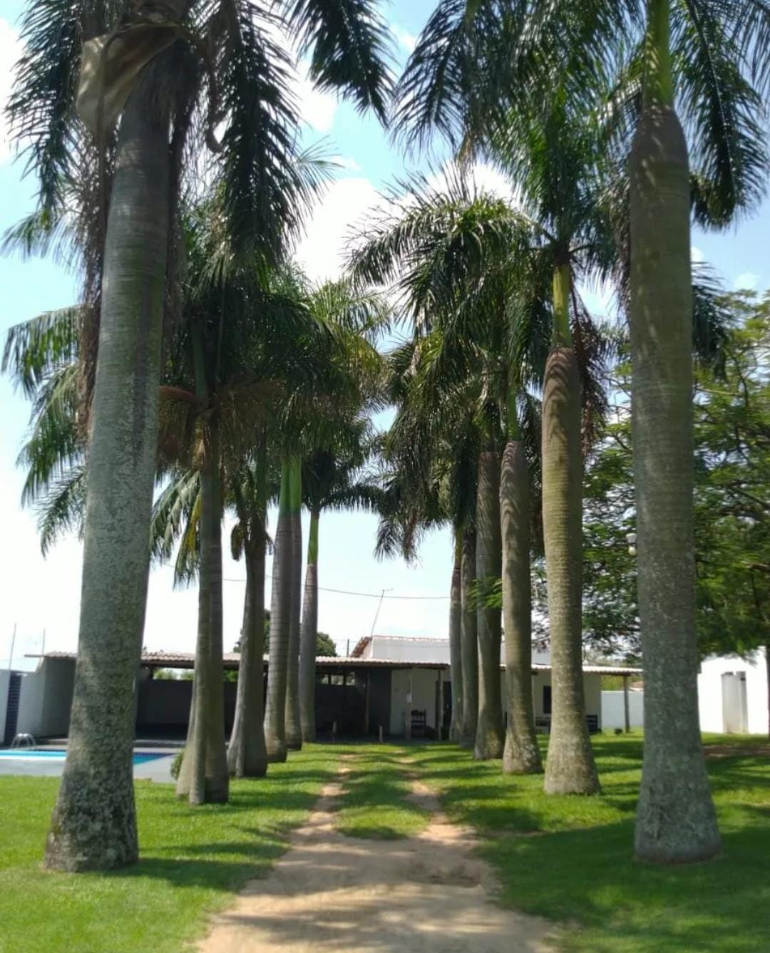 Imagem Chácara com 2 Quartos à Venda, 300 m²em Jardim Gleba B - Nova Odessa