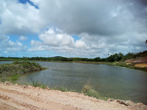 Imagem Fazenda à Venda, 220 HAem Zona Rural - Santa Luzia do Itanhy