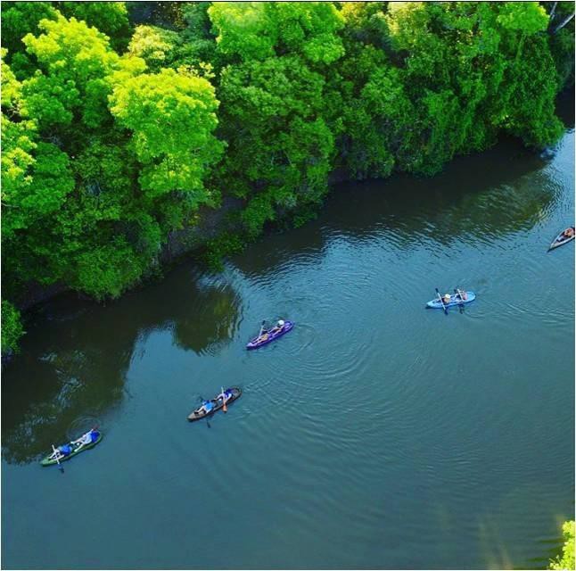 Imagem Fazenda à Venda, 23 HAem Zona Rural - Aquidauana