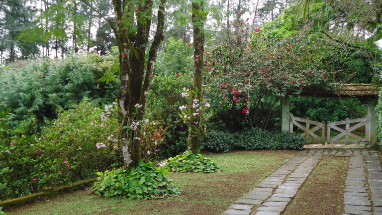 Imagem Chácara com 3 Quartos à Venda, 100 m² em Serrinha do Alambari - Resende