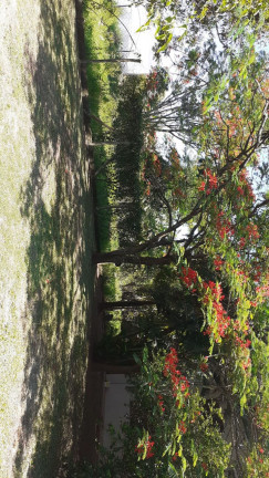 Imagem Chácara com 4 Quartos à Venda, 1.000 m² em Piracambaia II - Campinas