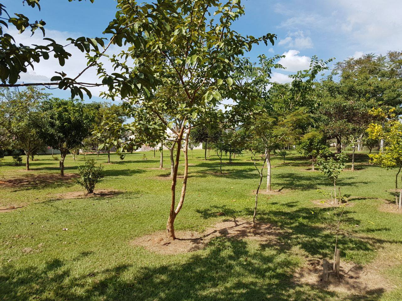 Imagem Terreno em Condomínio à Venda, 450 m²em Condomínio Reserva da Serra - Jundiaí