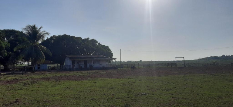 Imagem Fazenda à Venda,  em Rural - Alenquer