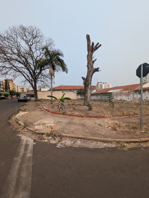 Imagem do anúncio
