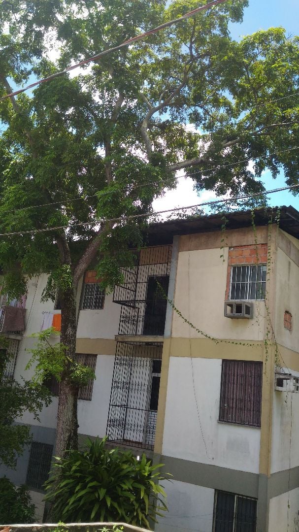 Imagem de fundo do condomínio Condomínio Condominio João Bosco na Torquato Tapajós - Flores - Manaus - AM
