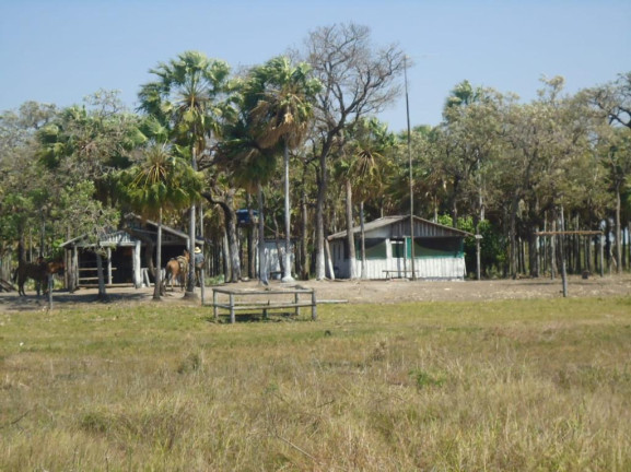 Imagem Fazenda à Venda,  em Vila Morumbi - Campo Grande