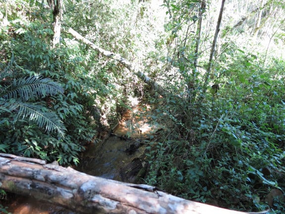 Imagem Chácara com 3 Quartos à Venda,  em Barragem - São Paulo