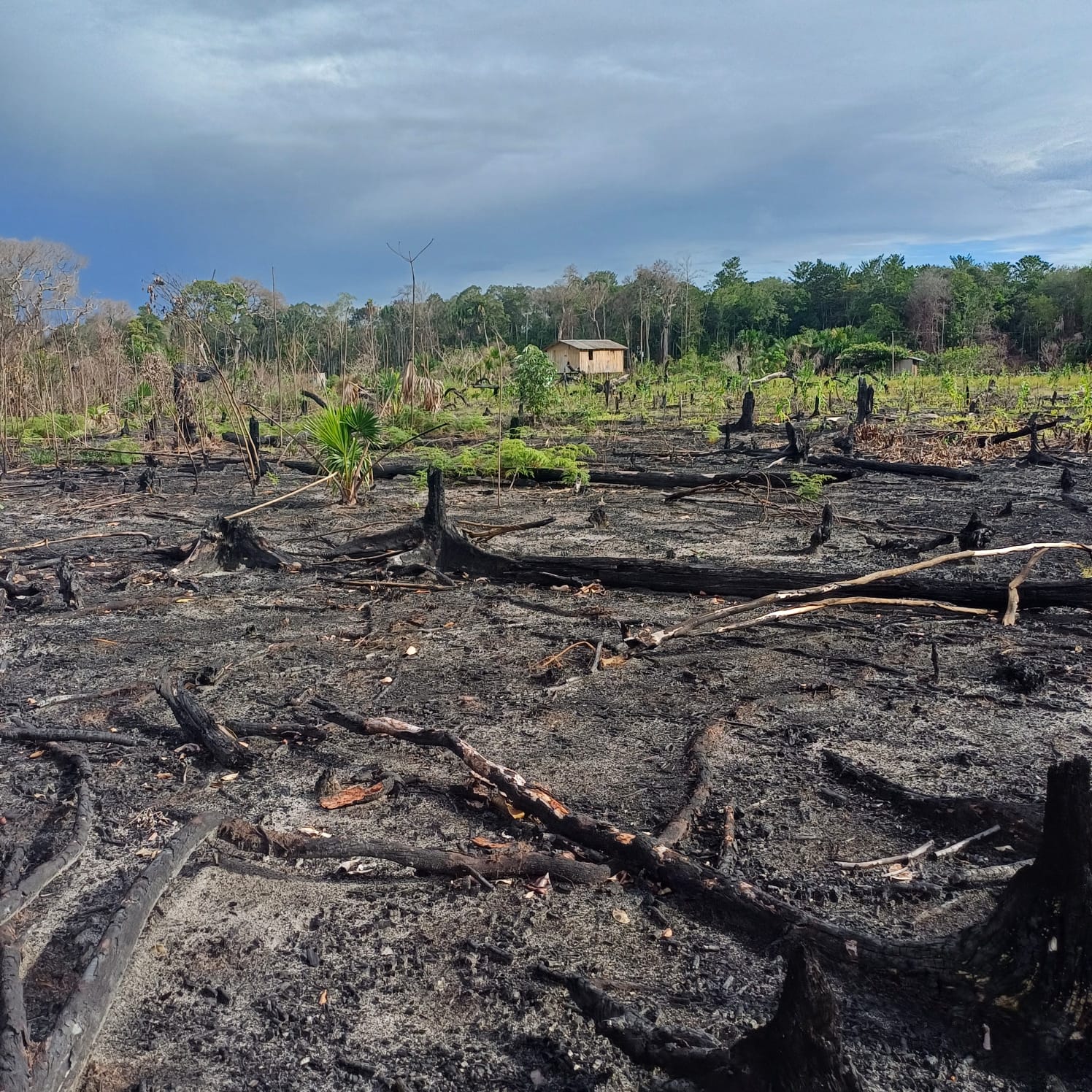 Imagem Imóvel com 2 Quartos à Venda, 900 m²em ramal fe em Deus - Rio Preto da Eva