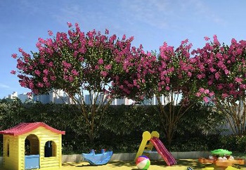 Imagem de fundo do condomínio Condomínio Allegro Alto Da - Mooca - São Paulo - SP