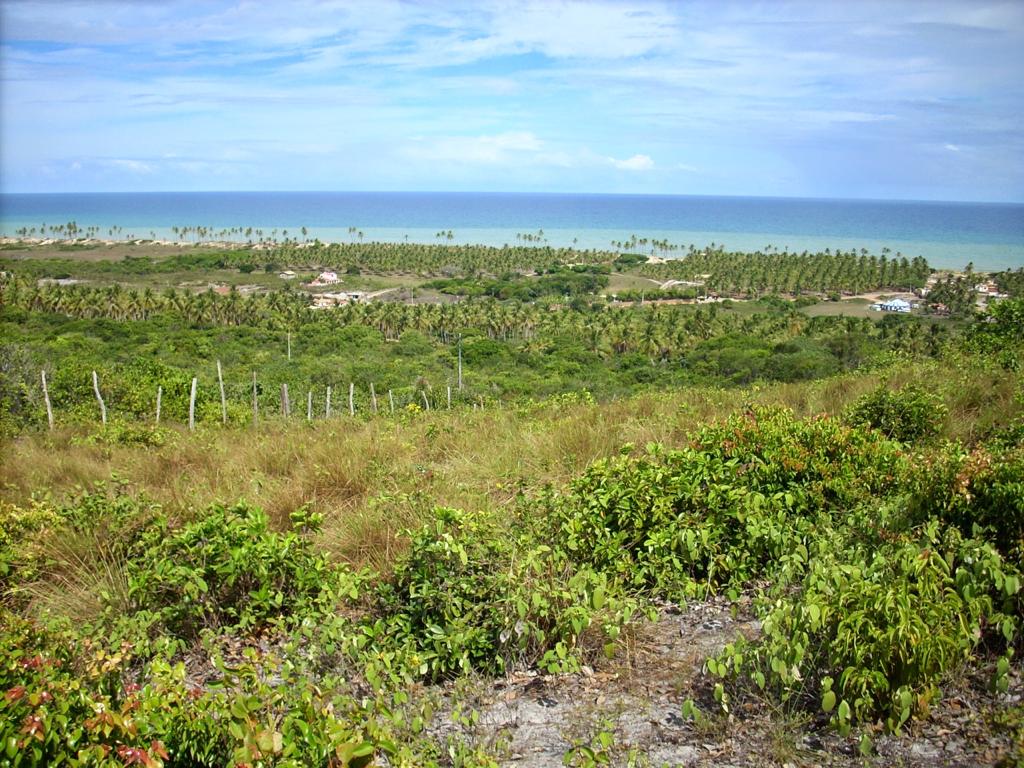 Litoral Norte da Bahia: Perspectivas e Oportunidades.