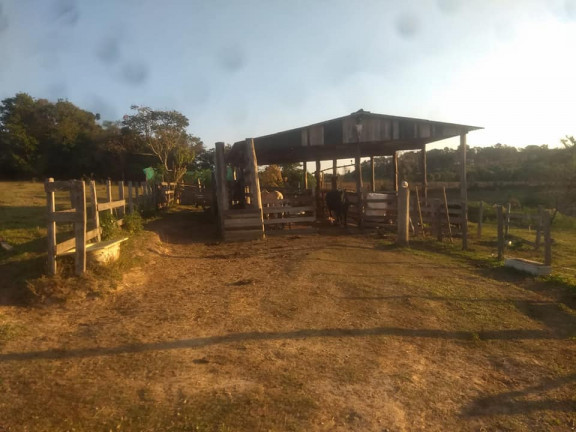 Imagem Fazenda à Venda, 36.000 m² em Aparecidinha - Araçoiaba da Serra