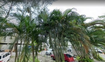 Imagem de fundo do condomínio Condomínio Das Acácias - Curicica - Rio De Janeiro - RJ