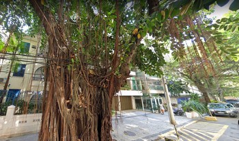 Imagem de fundo do condomínio Condomínio Do Edifício Andréa - Lagoa - Rio De Janeiro - RJ