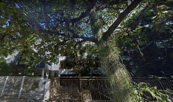 Imagem de fundo do condomínio Condomínio Do Edifício Fernando Nogueira De Souza - Barra Da Tijuca - Rio De Janeiro - RJ