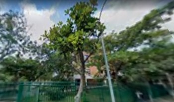 Imagem de fundo do condomínio Condomínio Do Edifício Jeribá - Barra Da Tijuca - Rio De Janeiro - RJ