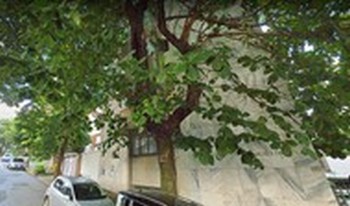 Imagem de fundo do condomínio Condomínio Do Edifício Manoelita O Lemos - Anchieta - Belo Horizonte - MG