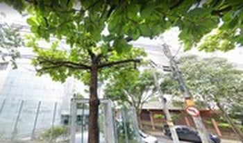 Imagem de fundo do condomínio Condomínio Do Edifício Residêncial Village Anchieta - Carmo - Belo Horizonte - MG