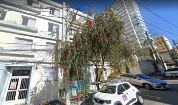 Imagem de fundo do condomínio Condomínio Bueno De Andrade - Aclimação - São Paulo - SP