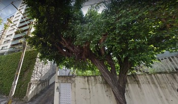 Imagem de fundo do condomínio Condomínio Carmem Miranda - Pituba - Salvador - BA