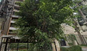 Imagem de fundo do condomínio Condomínio Dona Ana Wajsbrot - Cerqueira César - São Paulo - SP