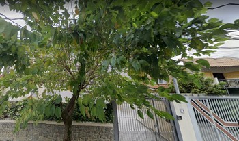 Imagem de fundo do condomínio Condomínio Dos Miosótis - Brooklin - São Paulo - SP