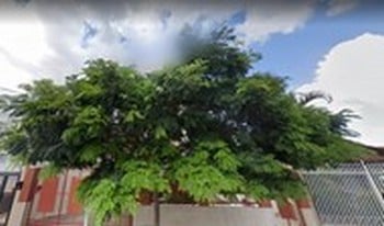 Imagem de fundo do condomínio Condomínio Erika Rocha - Santa Amélia - Belo Horizonte - MG