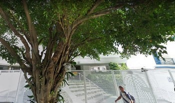 Imagem de fundo do condomínio Condomínio Fabiola - Jardim Paulista - São Paulo - SP