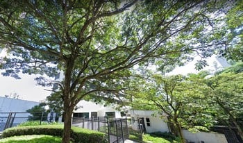 Imagem de fundo do condomínio Condomínio Panorama Do Morumbi - Vila Suzana - São Paulo - SP