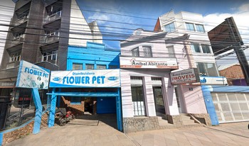 Imagem de fundo do condomínio Condomínio Portal Da América - Floresta - Porto Alegre - RS