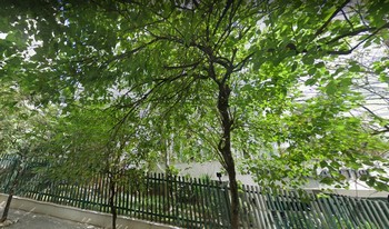 Imagem de fundo do condomínio Condomínio Residêncial Villaretto - Vila Andrade - São Paulo - SP