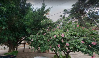 Imagem de fundo do condomínio Condomínio Sabine - São João - Porto Alegre - RS