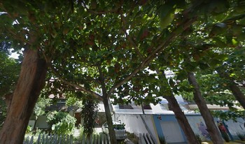 Imagem de fundo do condomínio Condomínio Residêncial Araruna - Recreio Dos Bandeirantes - Rio De Janeiro - RJ