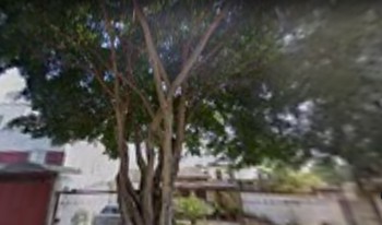 Imagem de fundo do condomínio Condomínio Residêncial Oviedo - Santa Branca - Belo Horizonte - MG