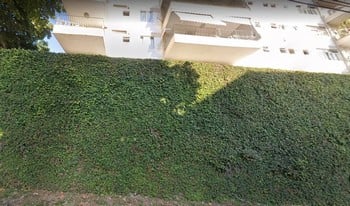 Imagem de fundo do condomínio Condomínio Solar Dos Duques - Jacarepaguá - Rio De Janeiro - RJ