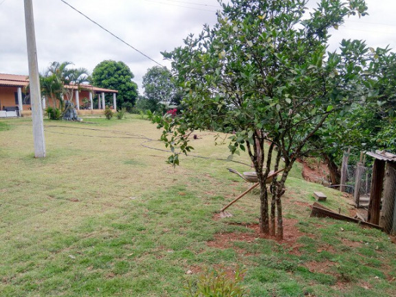 Imagem Chácara com 3 Quartos à Venda, 3 m² em Jardim Zaira - Mauá
