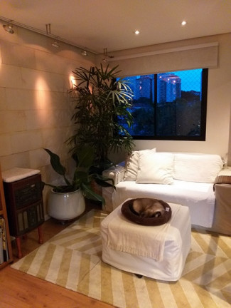 Imagem Apartamento com 3 Quartos à Venda, 81 m² em Vila Sofia - São Paulo