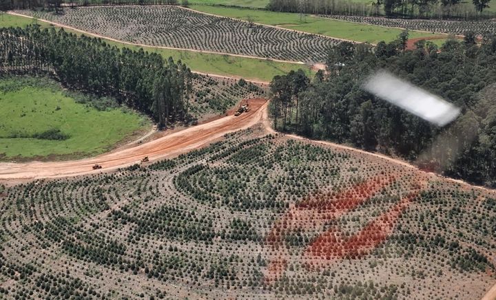 Imagem de fundo do condomínio Condomínio Entreverdes - Vila Brandina - Campinas - SP
