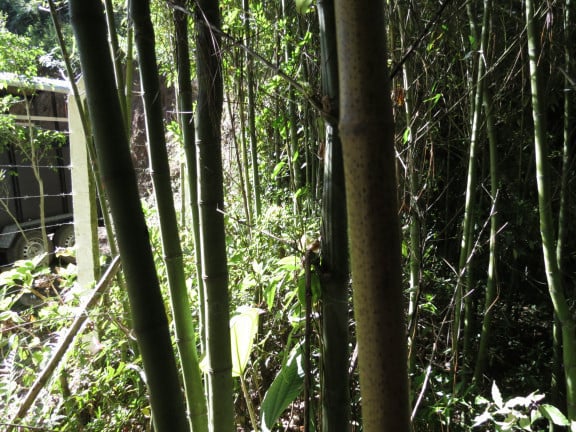 Imagem Chácara com 3 Quartos à Venda,  em Barragem - São Paulo