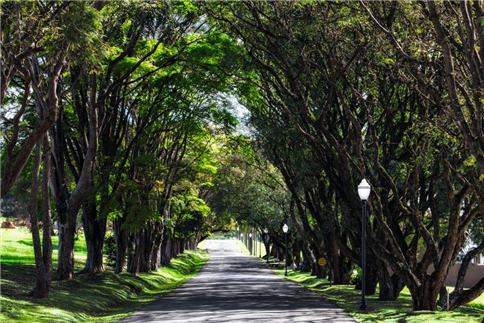 Imagem de fundo do condomínio Condomínio Fazenda Serrazul 2 - Serra Azul - Itupeva - SP