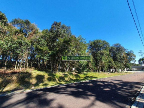 Foto do imóvel Terreno à Venda, 2.408 m² em Orleans - Curitiba